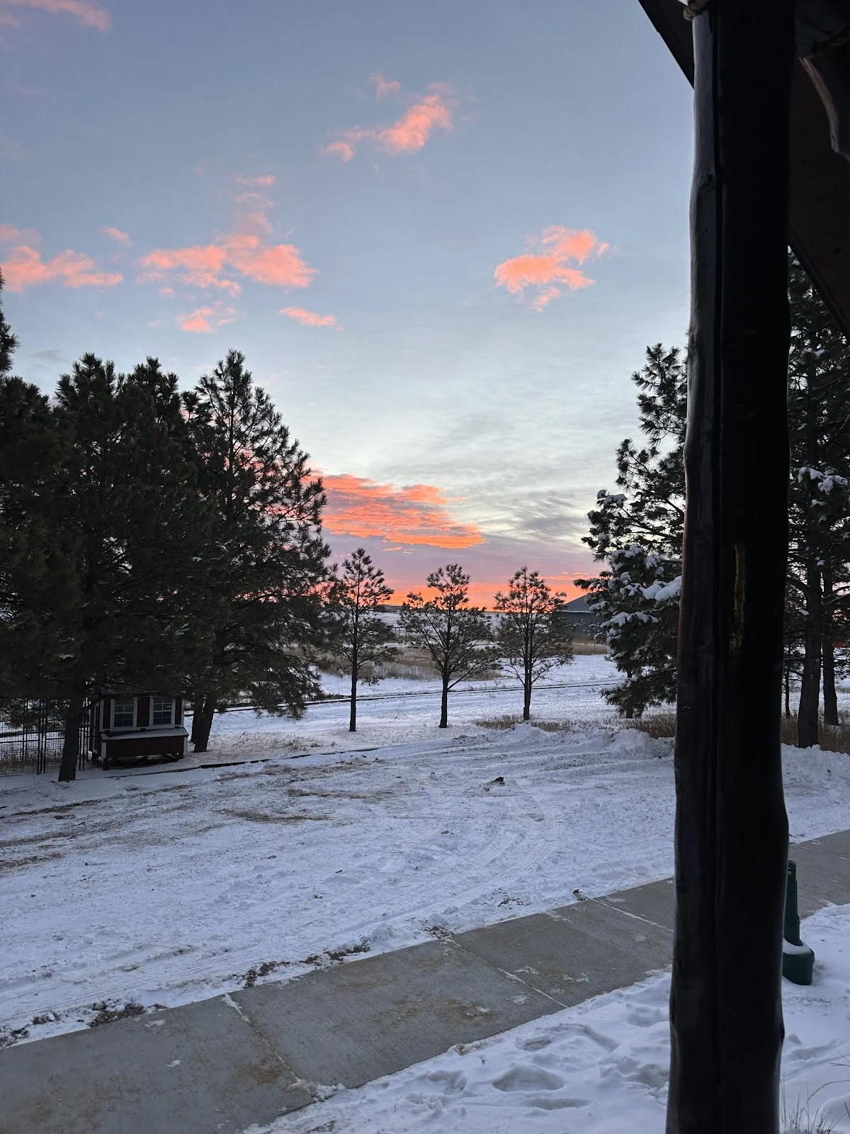 Healing Pines Recovery